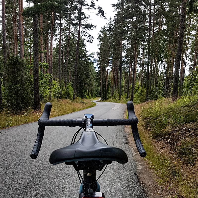 Fahrrad auf der Straße in einem Wald.